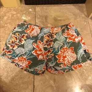 Patagonia Baggie Shorts